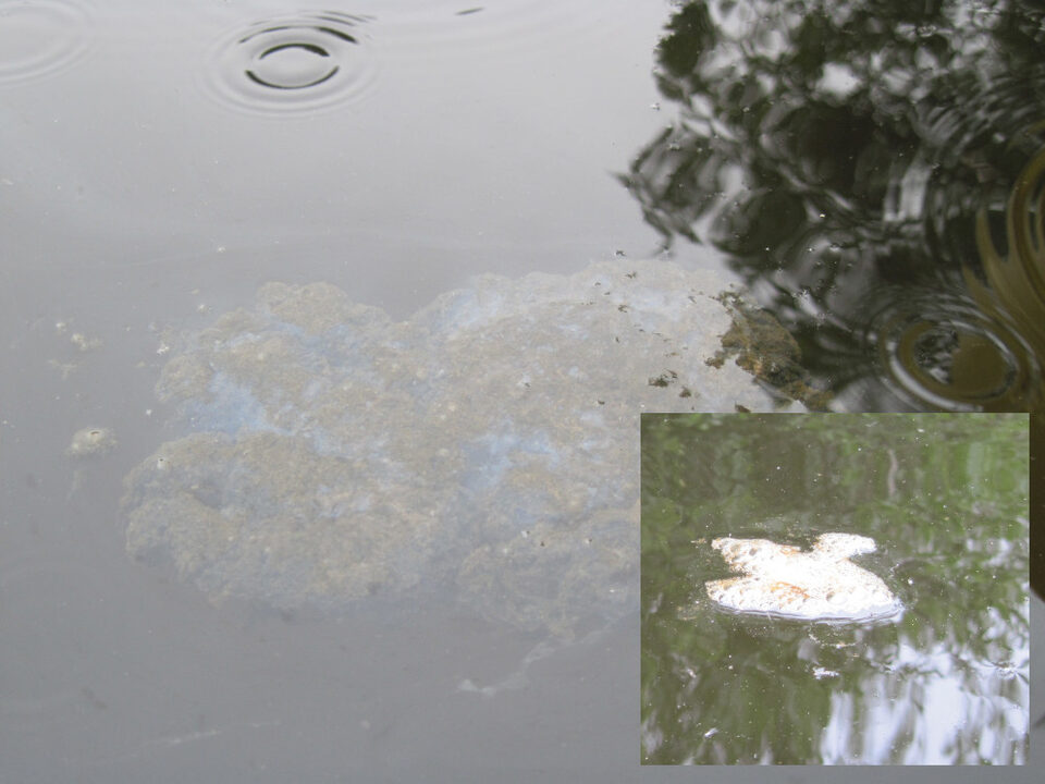 Fig 2 - Nasty stinky black effluent