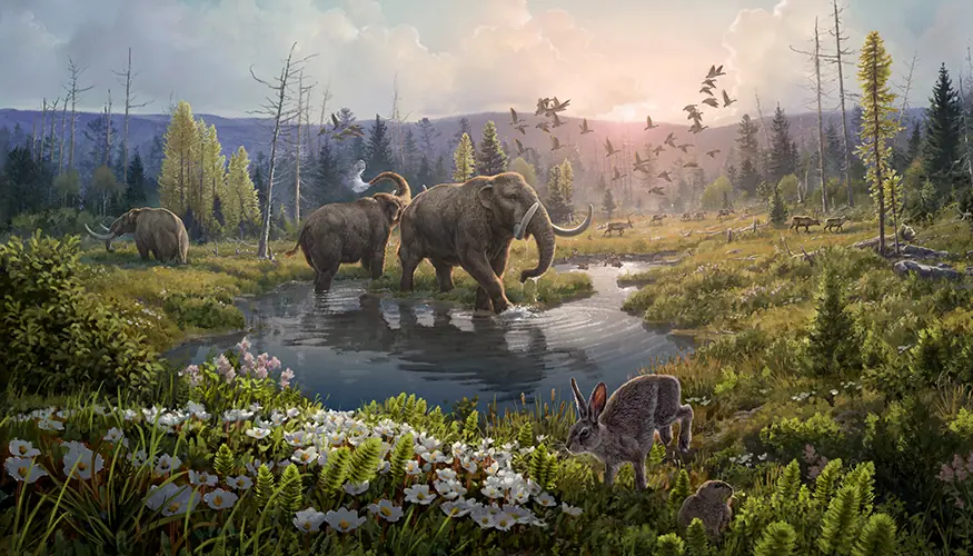An artist’s impression of the Kap København formation two-million years ago in a time where the temperature was significantly warmer than northernmost Greenland today. Artist: Beth Zaiken/bethzaiken.com