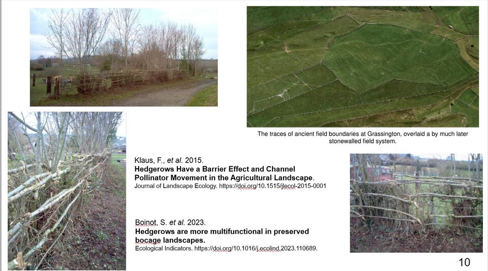 Slide 10