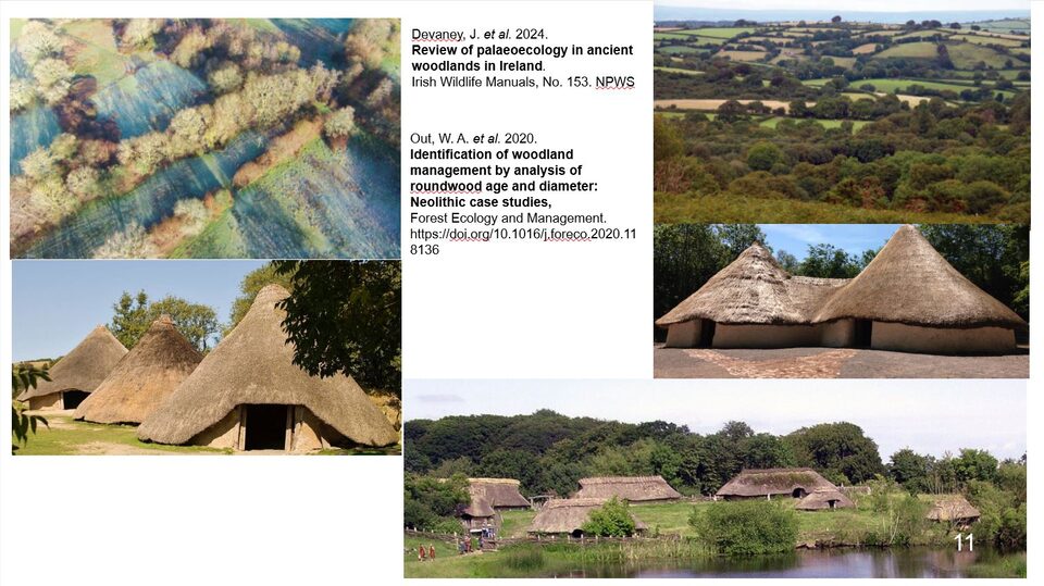 Slide 11