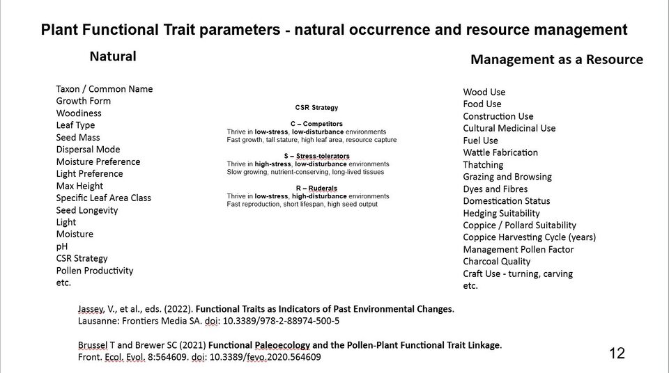 Slide 12